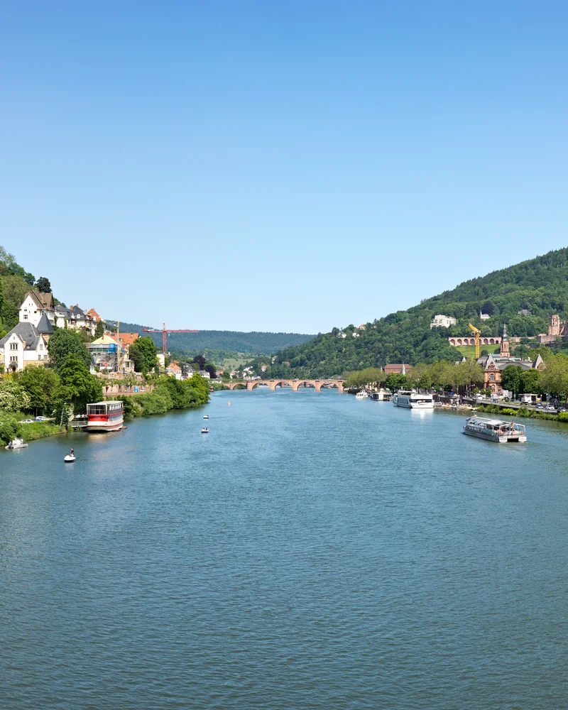 Morgenlicht am Neckar