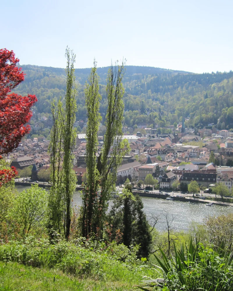 Blick vom Philosophenweg